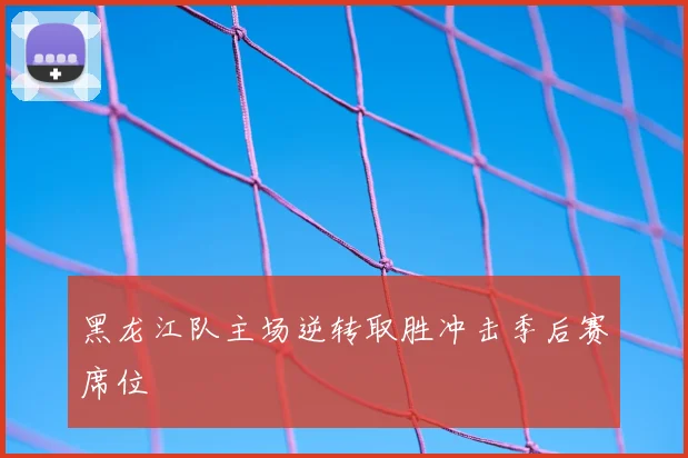 黑龙江队主场逆转取胜冲击季后赛席位