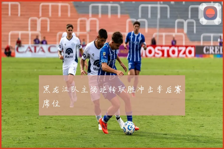 黑龙江队主场逆转取胜冲击季后赛席位
